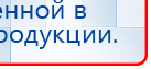 Электрод Скэнар - лицевой двойной Пешки купить в Магадане, Электроды Скэнар купить в Магадане, Нейродэнс ПКМ официальный сайт - denasdevice.ru